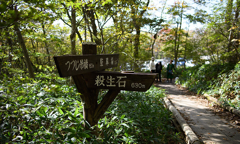 那須吊り橋紅葉