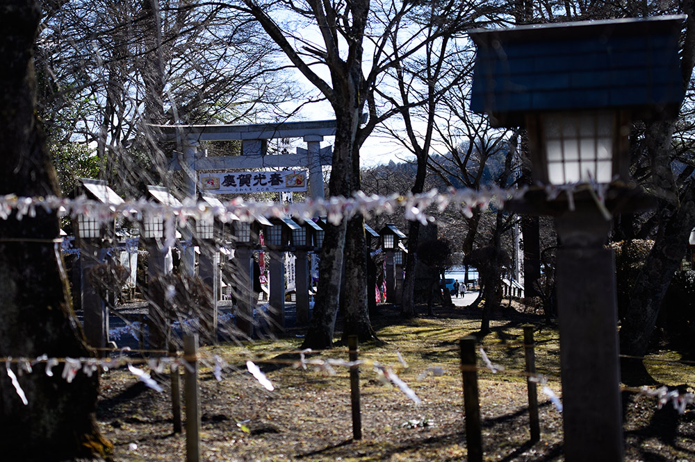 南湖神社