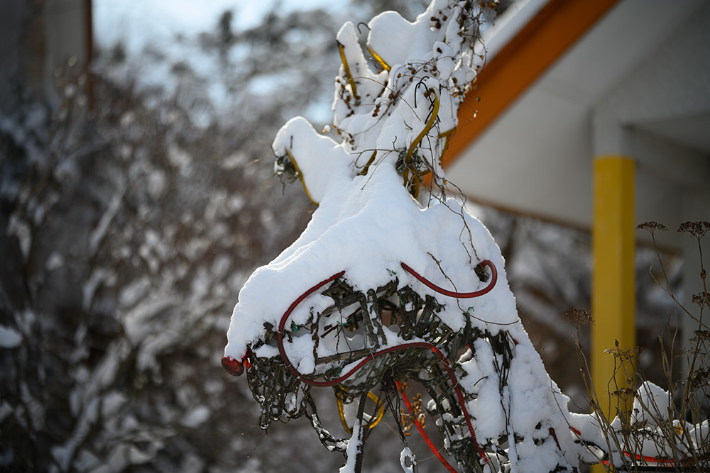 雪積るトナカイ