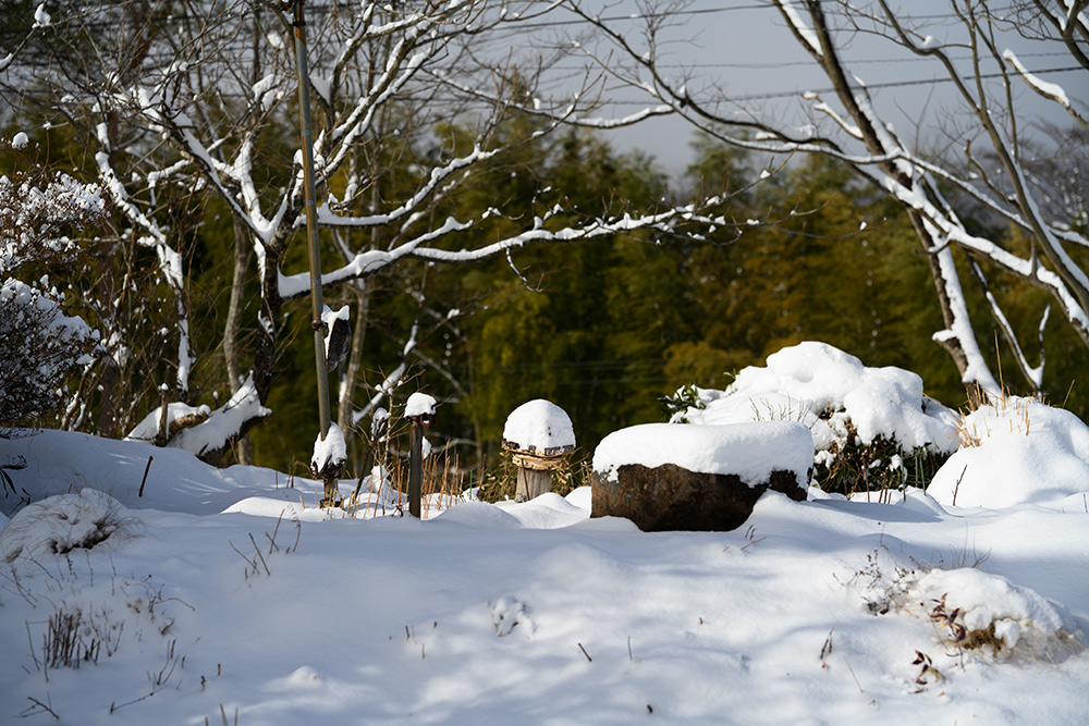 こんもり積もった雪